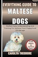 Algopix Similar Product 15 - Everything Guide To MALTESE DOGS