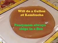 Algopix Similar Product 12 - Kombucha By Poseymom Larger Scoby No