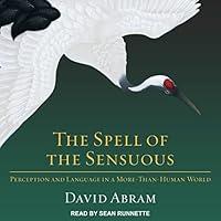 Algopix Similar Product 12 - The Spell of the Sensuous Perception
