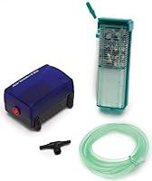 Algopix Similar Product 8 - PENNPLAX Small World Aquarium Air Pump