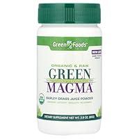 Algopix Similar Product 12 - Green Foods Green Magma USA Powder
