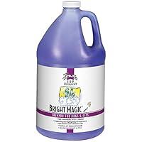 Algopix Similar Product 19 - Top Performance TP 64 Shampoo Gal