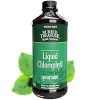 Algopix Similar Product 12 - Buried Treasure Liquid Chlorophyll 100