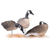 Algopix Similar Product 15 - Heerweiyi Goose Decoys Pack of 6