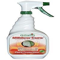 Algopix Similar Product 14 - Safergro 4237RTUSG Mildew Cure