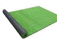 Algopix Similar Product 3 - Artificial Turf Grass Lawn 5 FT x8 FT