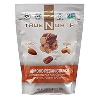 Algopix Similar Product 7 - TrueNorth Almond Pecan Cashew Clusters