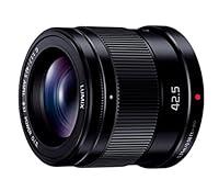 Algopix Similar Product 10 - Panasonic replacement lens LUMIX G