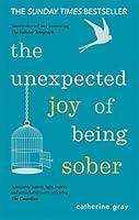 Algopix Similar Product 18 - The Unexpected Joy of Being Sober