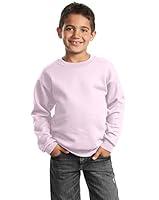 Algopix Similar Product 15 - Port  Company Boys Crewneck