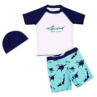 Algopix Similar Product 3 - Baby Toddler Boys Dinosaur Rash Guard
