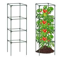 Algopix Similar Product 9 - 6Pack Tomato Cage 57154154 Inches