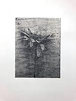 Algopix Similar Product 1 - Ewa 2