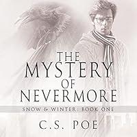 Algopix Similar Product 20 - The Mystery of Nevermore: Snow & Winter