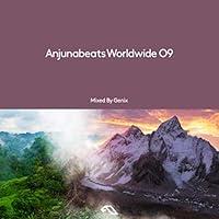 Algopix Similar Product 19 - Anjunabeats Worldwide 09