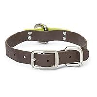 Algopix Similar Product 13 - WEST PAW Jaunts Dog Collar Small