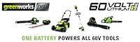 Algopix Similar Product 18 - GreenWorks Pro 60Volt Max 25Amp