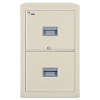 Algopix Similar Product 1 - Patriot Insulated 2Drawer Fire File