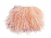 Algopix Similar Product 12 - Moonlight Feather  1 Yard  Champagne