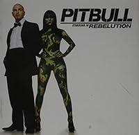 Algopix Similar Product 8 - Pitbull Starring In Rebelution - Edited