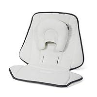 Algopix Similar Product 8 - UPPAbaby Infant SnugSeat