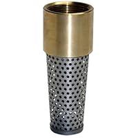Algopix Similar Product 16 - WATER SOURCE TFV-200NL 2" BRS Foot Valve