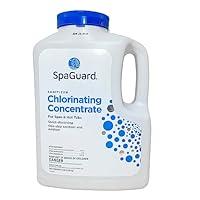 Algopix Similar Product 12 - SpaGuard Spa Chlorinating Concentrate 