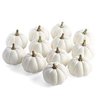 Algopix Similar Product 1 - Package of 12 Artificial White Baby Boo