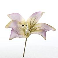 Algopix Similar Product 18 - 1 Dozen Soft Flowy Spring Lavender and