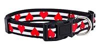 Algopix Similar Product 8 - Native Pup Valentines Day Heart Dog