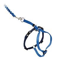 Algopix Similar Product 19 - PetSafe Come With Me Kitty Harness and