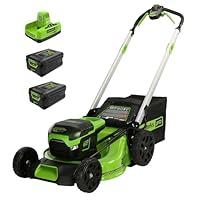 Algopix Similar Product 10 - Greenworks 12 Amp 20 Corded Lawn