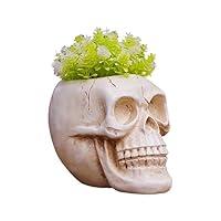 Algopix Similar Product 6 - Skull Decorative Planting Pot Halloween