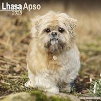 Algopix Similar Product 8 - Lhasa Apso Calendar 2025  Square Dog