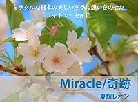 Algopix Similar Product 1 - miraclekiseki