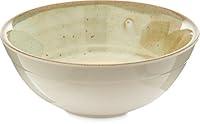 Algopix Similar Product 20 - Carlisle Gathering Melamine Bowl