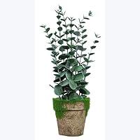 Algopix Similar Product 1 - Youngs Inc Artificial Eucalyptus in