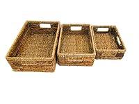 Algopix Similar Product 5 - Trademark Innovations Banana Leaf