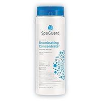 Algopix Similar Product 17 - SpaGuard Brominating Concentrate - 2 lb