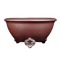 Algopix Similar Product 6 - Outdoor Indoor Garden Plant Pots Plant