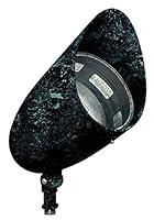 Algopix Similar Product 19 - Dabmar Lighting DPR38HOODVG Par 38