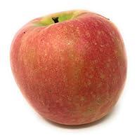 Algopix Similar Product 1 - Apple Pink Lady Whole Trade Guarantee