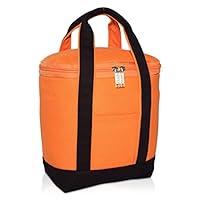 Algopix Similar Product 14 - DALIX Mini Can Cooler Bag Small
