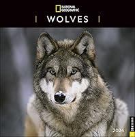 Algopix Similar Product 14 - National Geographic Wolves 2024 Wall