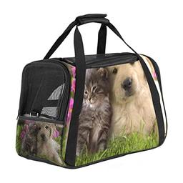 Best Deal for Pet Carrier Baby Dog with Cat Soft-Sided Pet Travel