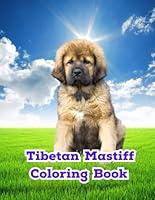 Algopix Similar Product 8 - Tibetan Mastiff Coloring Book Tibetan