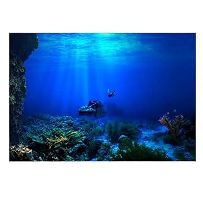 Best Deal for Estink Fish Tank Poster, Seabed Pattern Aquarium Background