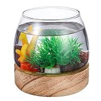 Algopix Similar Product 9 - VANZACK Glass Fish Bowl Fish Tank Mini