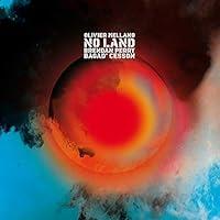Algopix Similar Product 8 - No Land