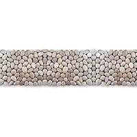 Algopix Similar Product 8 - Decorative Pebbles 39 x 4